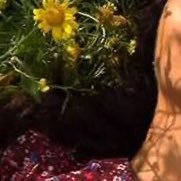 _mim_oneandonly's profile picture. {إِنَّ ٱللَّهَ بَٰلِغُ أَمْرِهِۦ ۚ قَدْ جَعَلَ ٱللَّهُ لِكُلِّ شَىْءٍۢ قَدْرًا} one and only #bookish