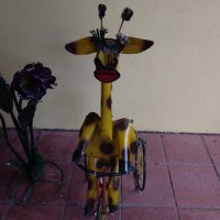 Street Giraffe🚦(@StreetGiraffe) 's Twitter Profile Photo