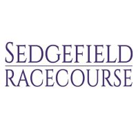 SedgefieldRacecourse(@SedgefieldRace) 's Twitter Profile Photo