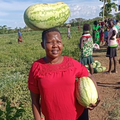 Agricultural Extension Specialist, passionate about CSA,
Agriculture pays:food for my people. CEO and founder TURKANA Feeds Kenya.
'Africans for Africa'