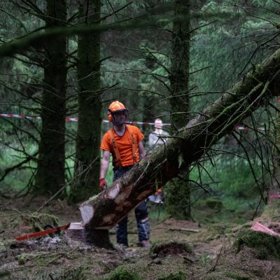 Every year the Royal Welsh Agricultural Show (Forestry Section) holds a chainsaw treefelling competition, over a weekend, somewhere out in the forests of Wales.