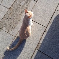 Angrh Ydh P. (@p_angrh) 's Twitter Profile