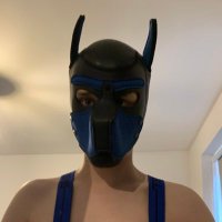 Pup Milo (@puppy_milo27) 's Twitter Profile