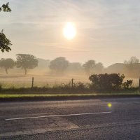 Pub Health GP (@pubhst) 's Twitter Profile Photo