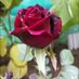 Anil Kumar (@anilku029) Twitter profile photo Anil Kumar (@anilku029) Twitter profile photo