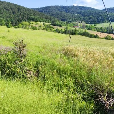 43 yaşındayim Düzenli ilişki arıyorum.evli bekar dul bayanlar eşlerine sevgili arayan eşler bekliyorum