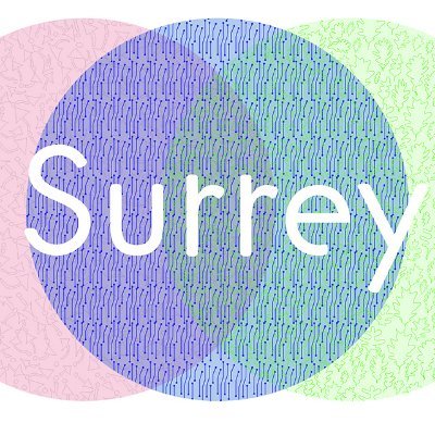 Beautiful countryside, innovative businesses, creative and caring communities – it’s Our Surrey Story