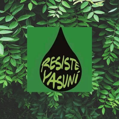 ResisteYAsuni Profile Picture