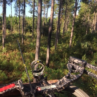 Fourth Generation Native Floridian & 4G Navy Vet (Desert Storm era). Shellback. Bluenose. Medium speed, some drag. Archer. Sailor. Reloader. Leather craftsman.