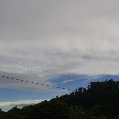 AngelicaRuizd9's profile picture. 