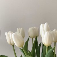 White Tulip(@wanttoescapemee) 's Twitter Profile Photo