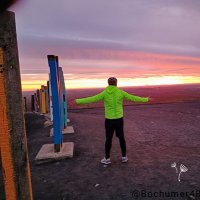 Ingo 🇩🇪©️ (@bochumer48junge) 's Twitter Profile
