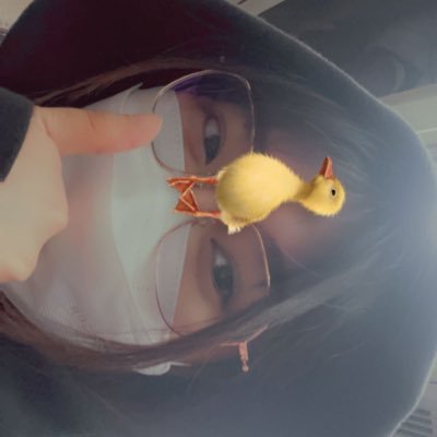 lavenderteall's profile picture. stupid pistachio