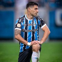 gremio1903gfbpa (@amesmicedesmp) 's Twitter Profile Photo gremio1903gfbpa (@amesmicedesmp) 's Twitter Profile Photo
