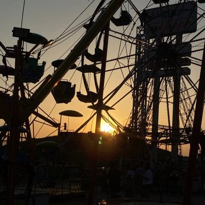 damlaoconner's profile picture. 