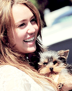 MileyInsideOfMe's profile picture. É inexplicável o meu amor pela Miley Cyrus e pelo Justin Bieber, eles são tudo na minha vida! 14/5 melhor dia. ~ dona do @fcmarifofis ~ Since: 17/04/11