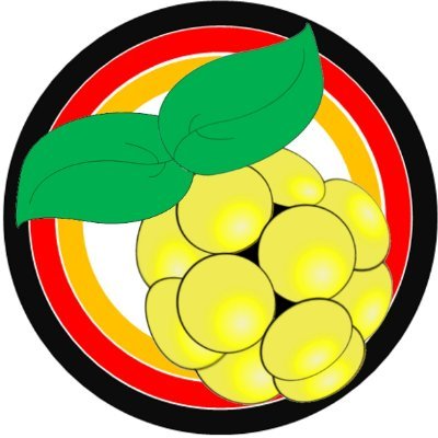 Rezistenta1984's profile picture. Die Goldene Himbeere für  politsche Versager _ Diplomatie statt Waffen _ Blau statt Ampel _ Reconquista _ Ungeimpft _ Für ein friedliches Europa der Nationen 💙