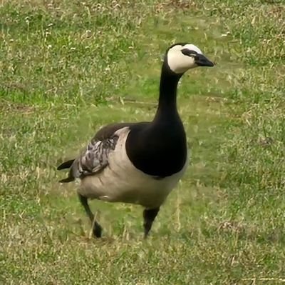 jwiw89's profile picture. Iykyk