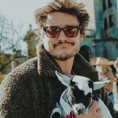 Alexandre_21G's profile picture. 