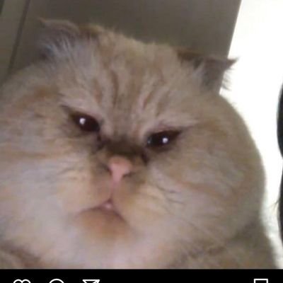 BSavageasia's profile picture. Alas, here i'am. Breath fire and eat bitter heart
🍟👁️👄👁️💅
π20

https://t.co/k1XViyG3uF