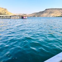 URFA ÇİFT (@cift6334) 's Twitter Profile