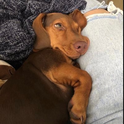 NiNi54954055's profile picture. 