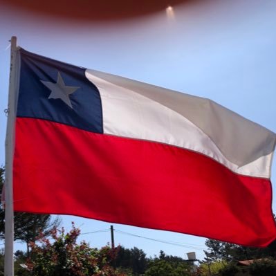 Chileno 😎 libre de opinar - Anticomunista de corazón - Amo mi país 🇨🇱