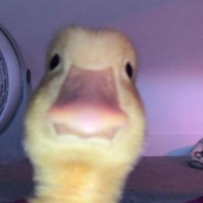 Seylito_59's profile picture. 