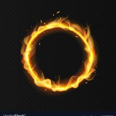 oguz21821288's profile picture. 