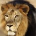 Tewodros (@tewodros189832) Twitter profile photo Tewodros (@tewodros189832) Twitter profile photo