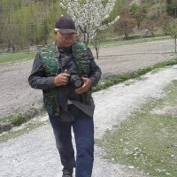 Babar Imtiaz (@babarimtiaz10) 's Twitter Profile