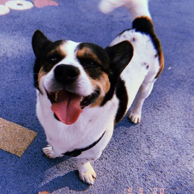 Augustina_auuuuuuさんのプロフィール画像