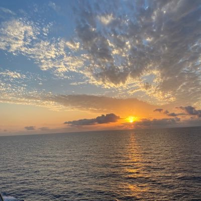 TurquiNawal's profile picture. médecin spécialiste en médecine interne(diabète,maladies du système,et mdies rares).Les updates en médecine sont les meilleurs.