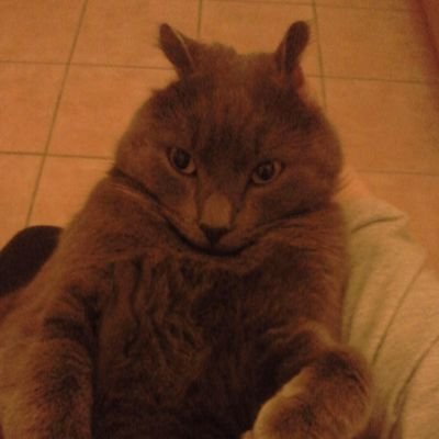 Legacyist's profile picture. Life is too short because.......