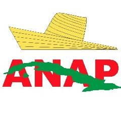 @AnapProvin92518