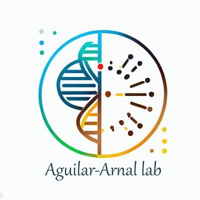 Linking Nutritional Epigenetics and Circadian Clocks: our lab investigates new molecular mechanisms shaping daily transcriptional oscillations.