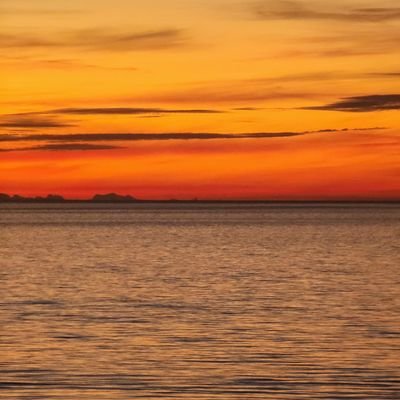 Veronica45309's profile picture. 