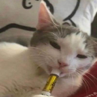 bubbljkkenzie's profile picture. 