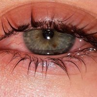 ayedah alharbi (@aydahalhrby1) Twitter profile photo