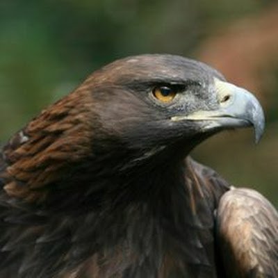 tawwnnyys's profile picture. 