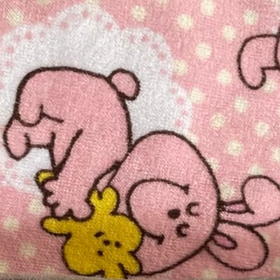 郵送でのお取り引きは主にミニレターを利用します／PayPay,楽天Pay,ゆうちょ,りそな対応可／ペット,喫煙者ともになしʕ•ᴥ•ʔポストを残している物はまだありますので過去のものでもお気軽にお声がけください。条件違いでも検討します。