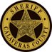 Calaveras Sheriff's (@CALAVERASCSO) Twitter profile photo