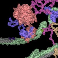 MLSB @ NeurIPS (@workshopmlsb) 's Twitter Profile Photo MLSB @ NeurIPS (@workshopmlsb) 's Twitter Profile Photo