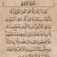 Qasim FM9802 (@hhu_muh) 's Twitter Profile