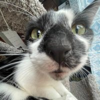 Himgis Dumgus (@l1fe_enj0yer) 's Twitter Profile