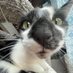 Himgis Dumgus (@l1fe_enj0yer) Twitter profile photo Himgis Dumgus (@l1fe_enj0yer) Twitter profile photo