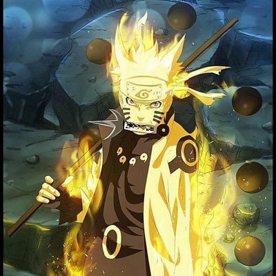 SiriusWolves's profile picture. 🐲