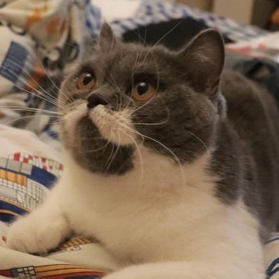 A comedian who can't make great videos is not a good game designer