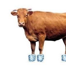 itzyflavour's profile picture. 비