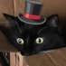 maroon🐈⬛cat (@cat_maroon) Twitter profile photo maroon🐈⬛cat (@cat_maroon) Twitter profile photo
